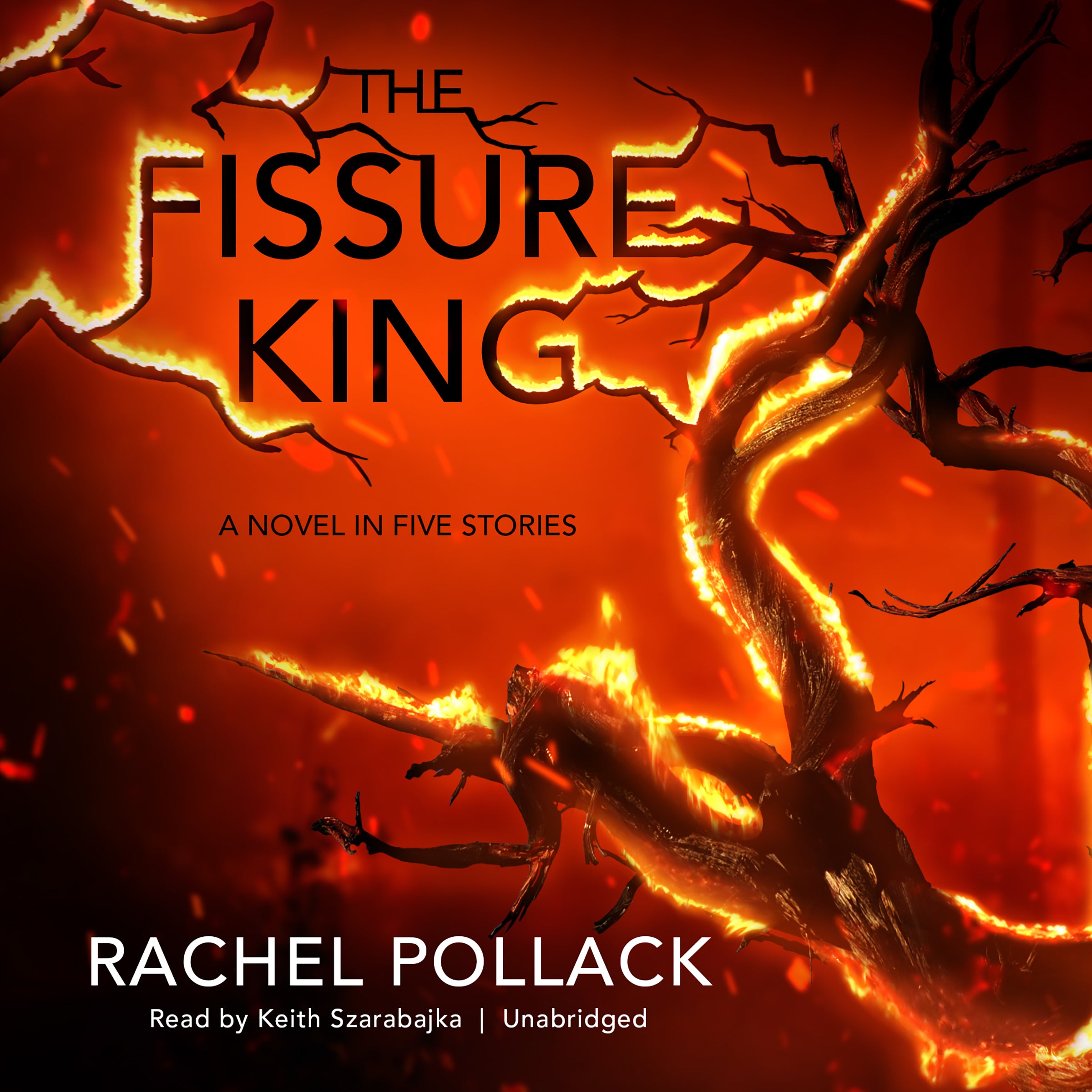 The Fissure King