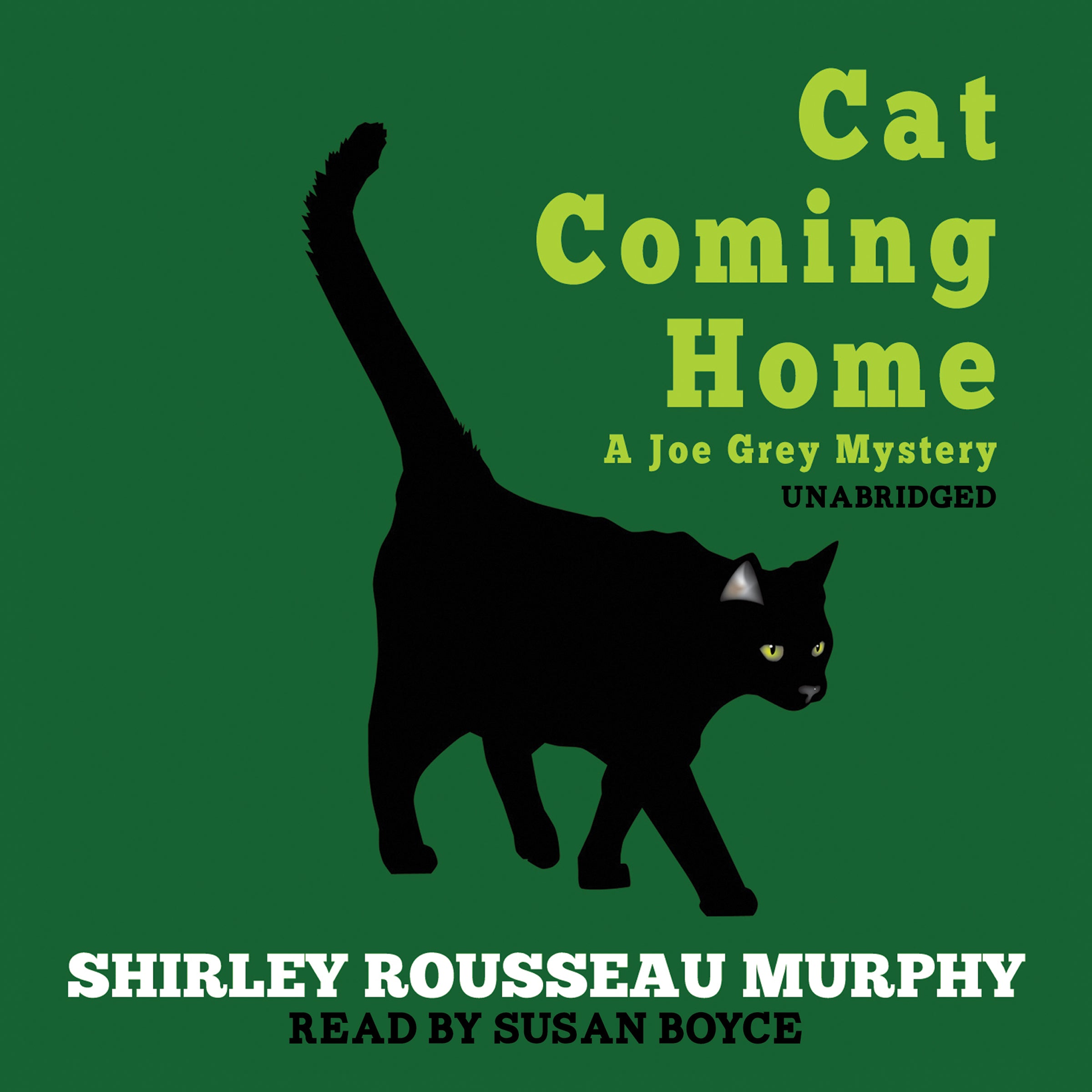 Cat Coming Home