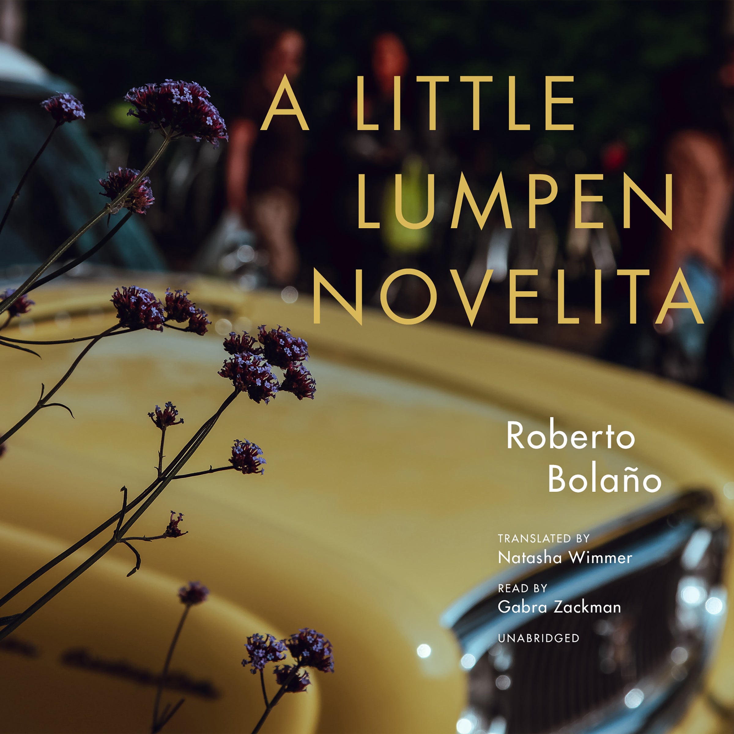A Little Lumpen Novelita