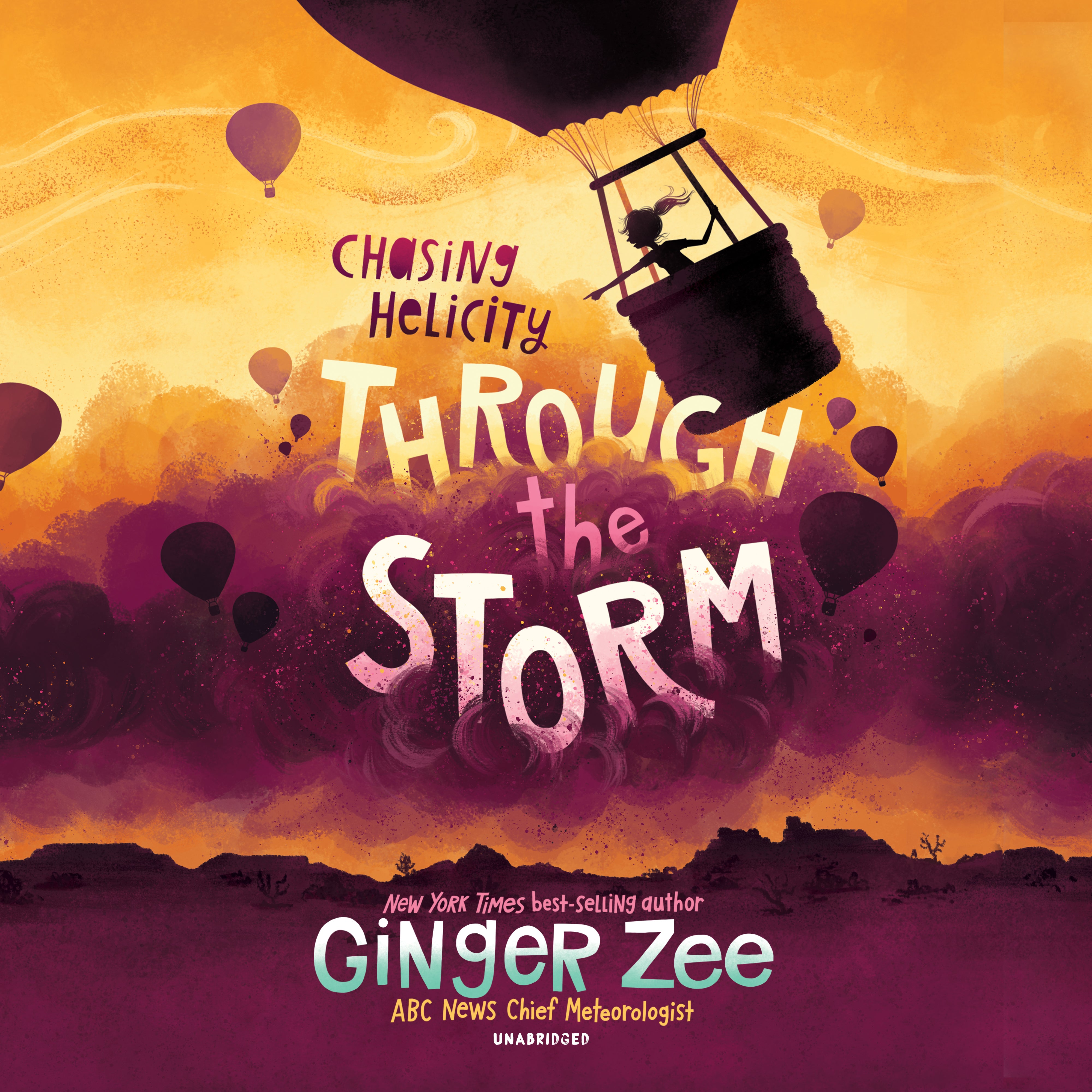 Chasing Helicity: Through the Storm