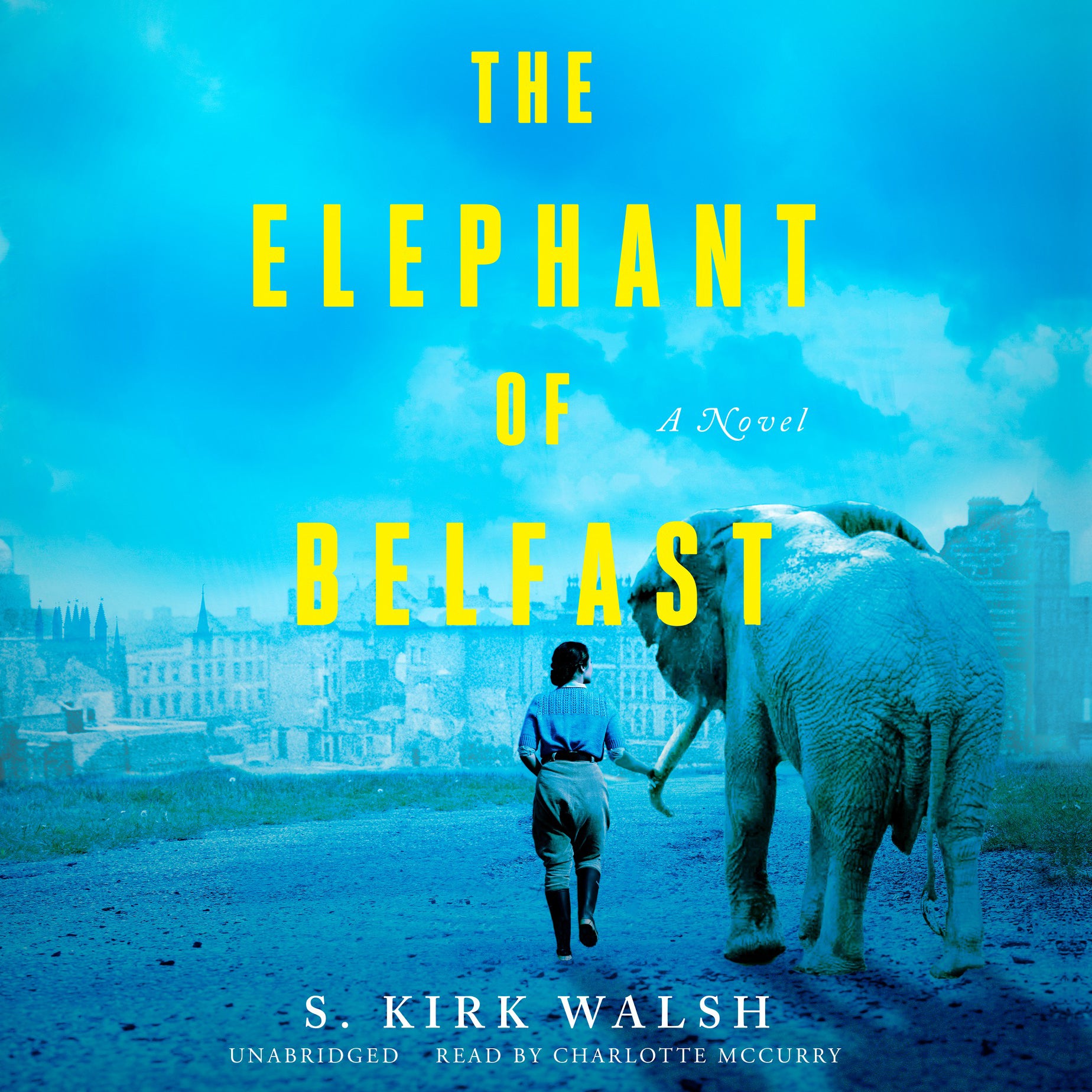 The Elephant of Belfast
