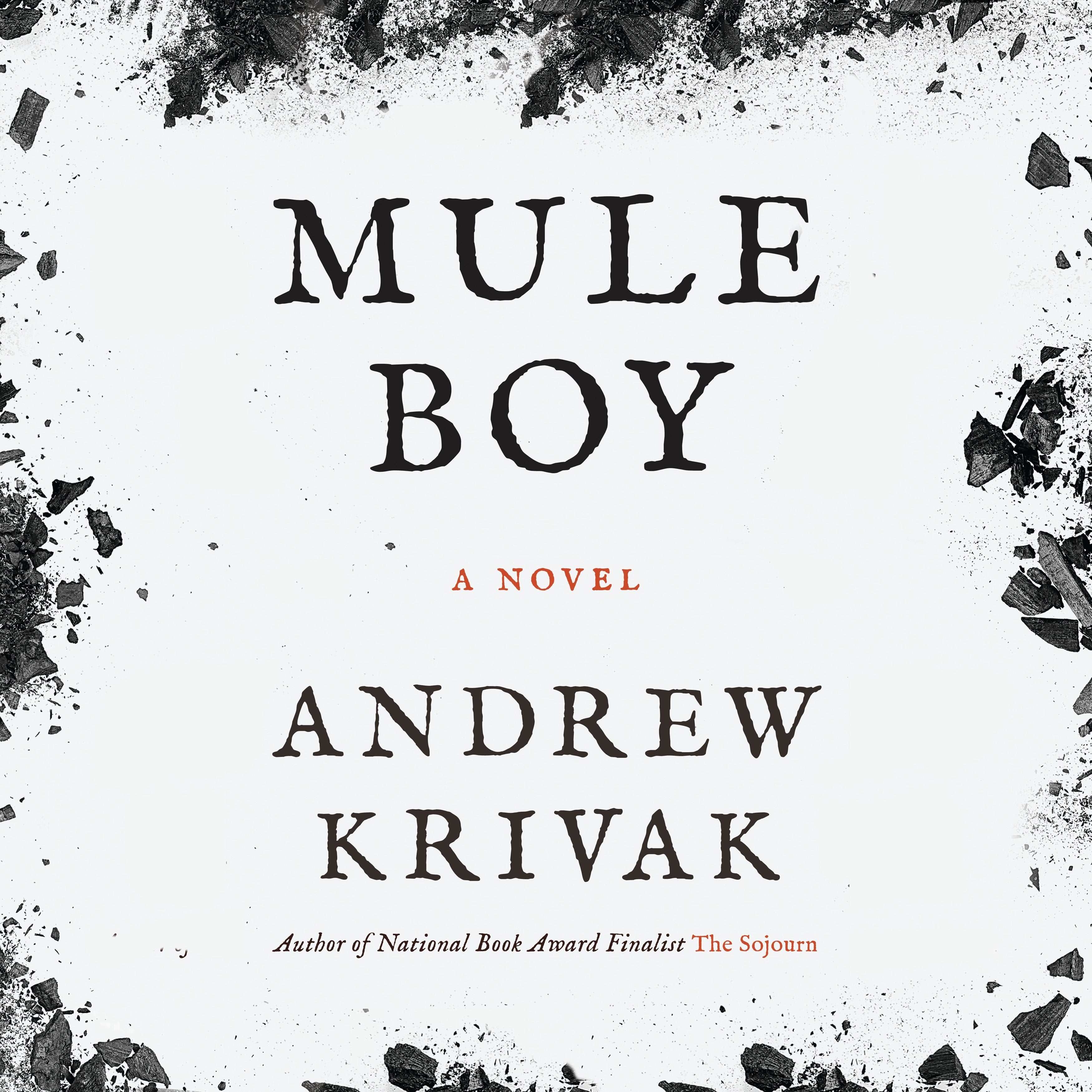 Mule Boy