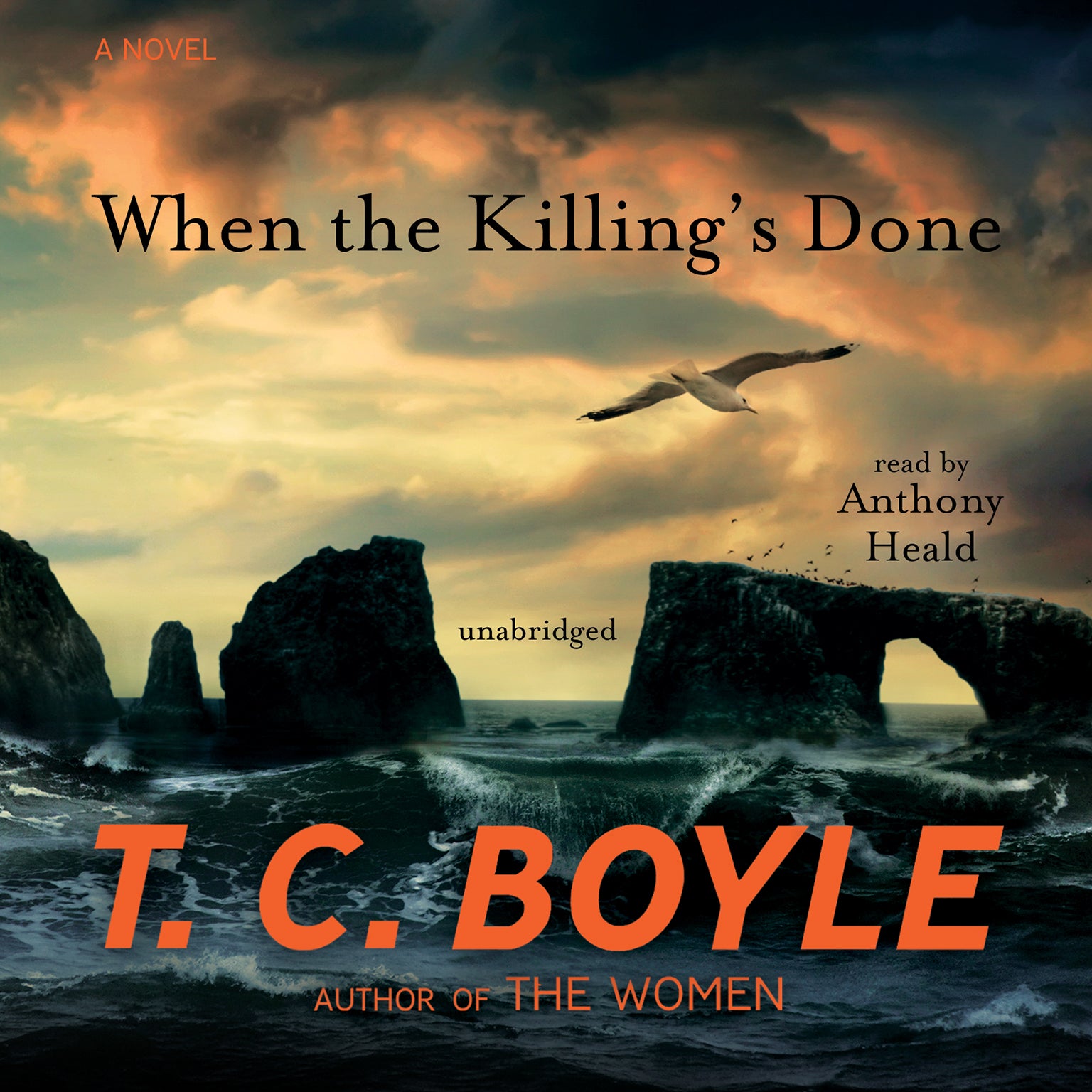 When the Killing’s Done