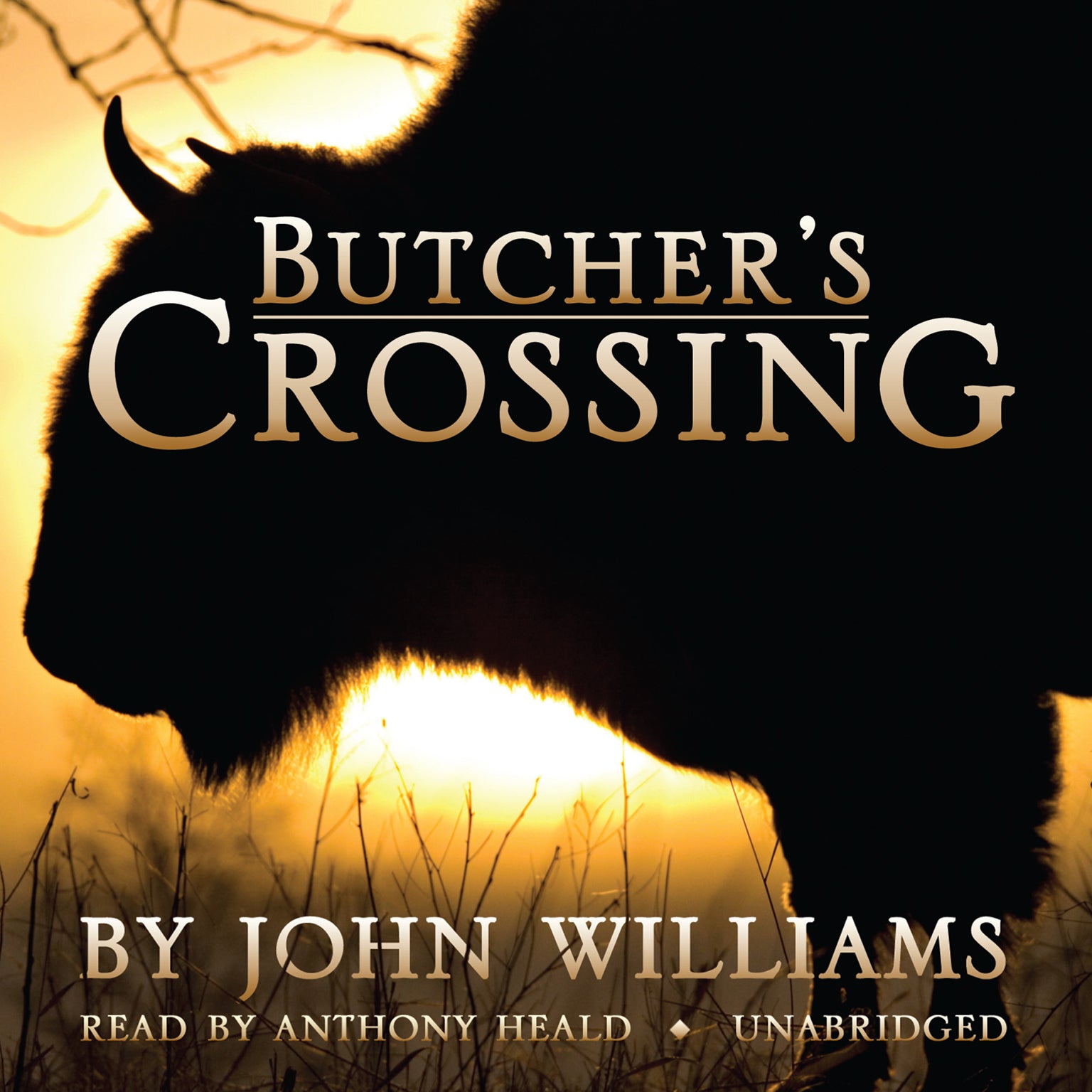 Butcher’s Crossing