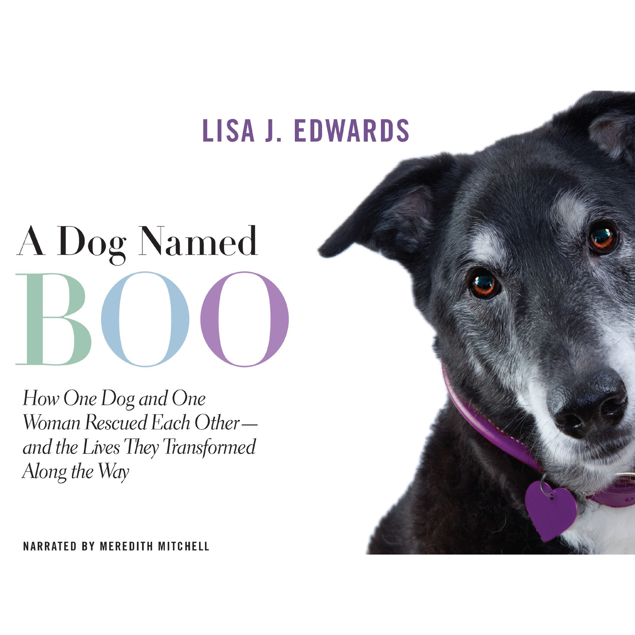 A Dog Named Boo