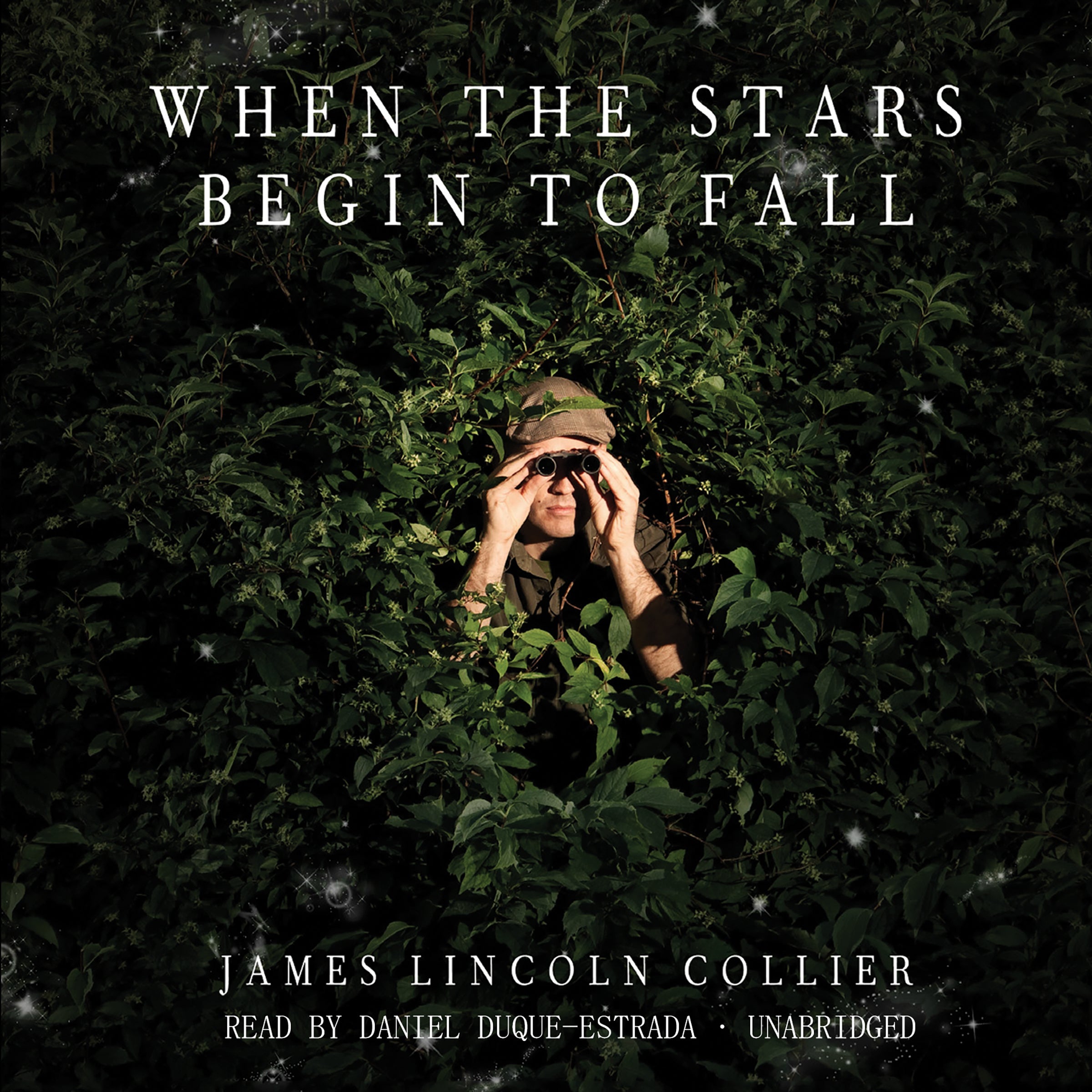 When the Stars Begin to Fall