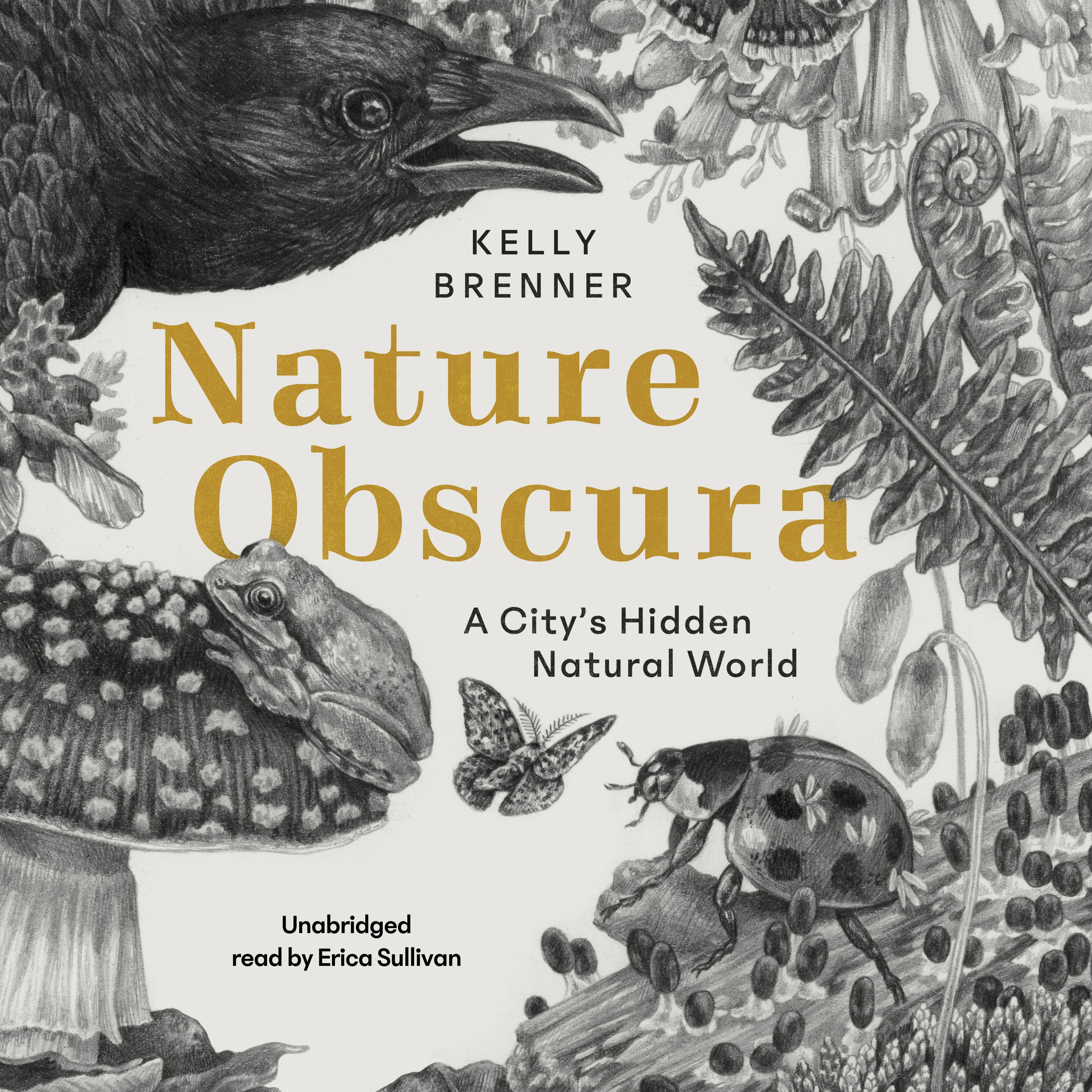 Nature Obscura