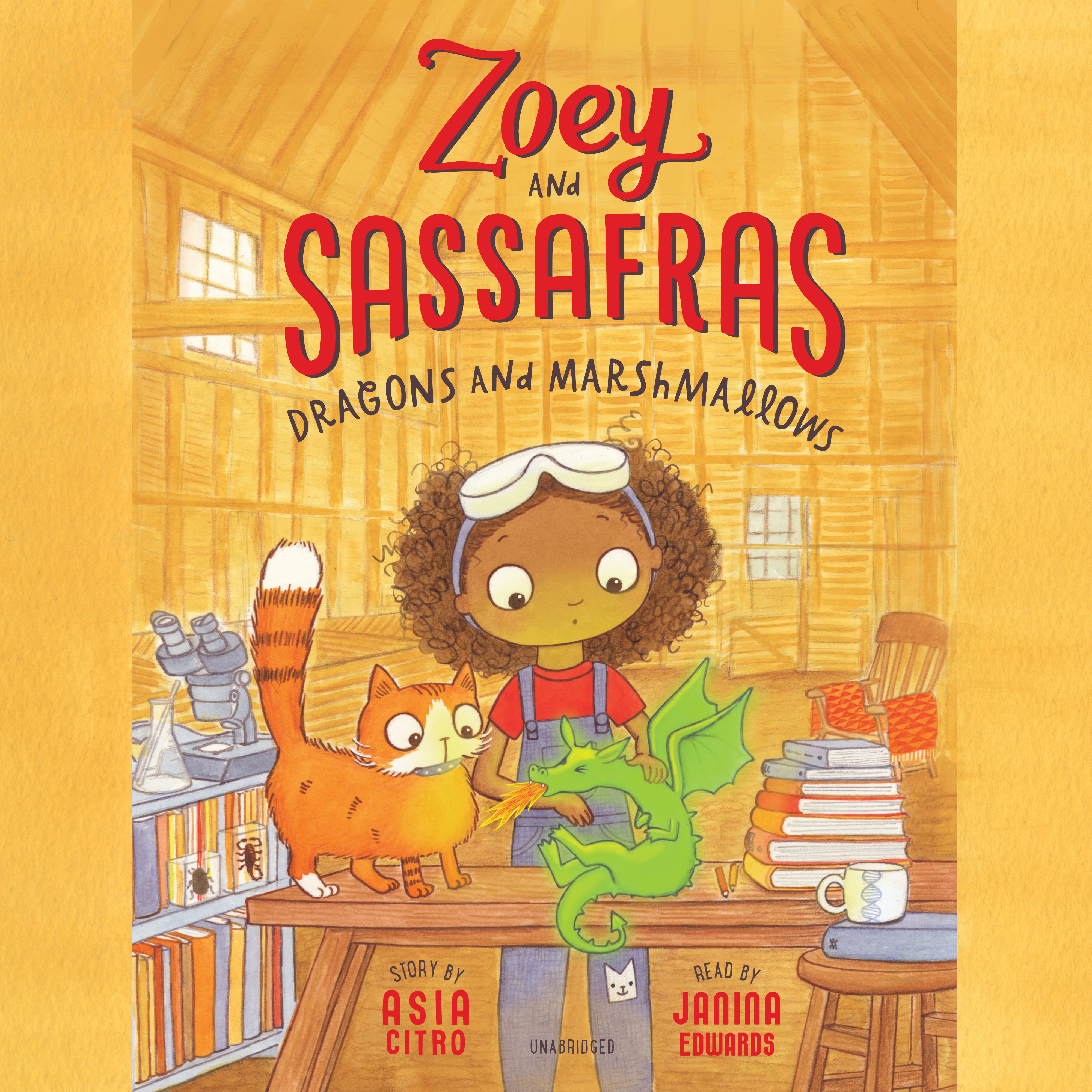 Zoey and Sassafras: Dragons and Marshmallows